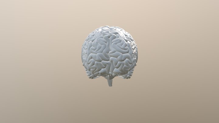 Brain Explode 3D Model