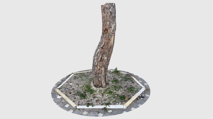 Tree trunk 03 – Gratis 3D-model STL