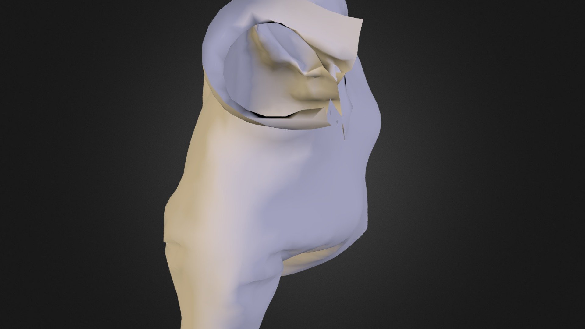 Polo - 3D model by MaxGirone [09103e0] - Sketchfab
