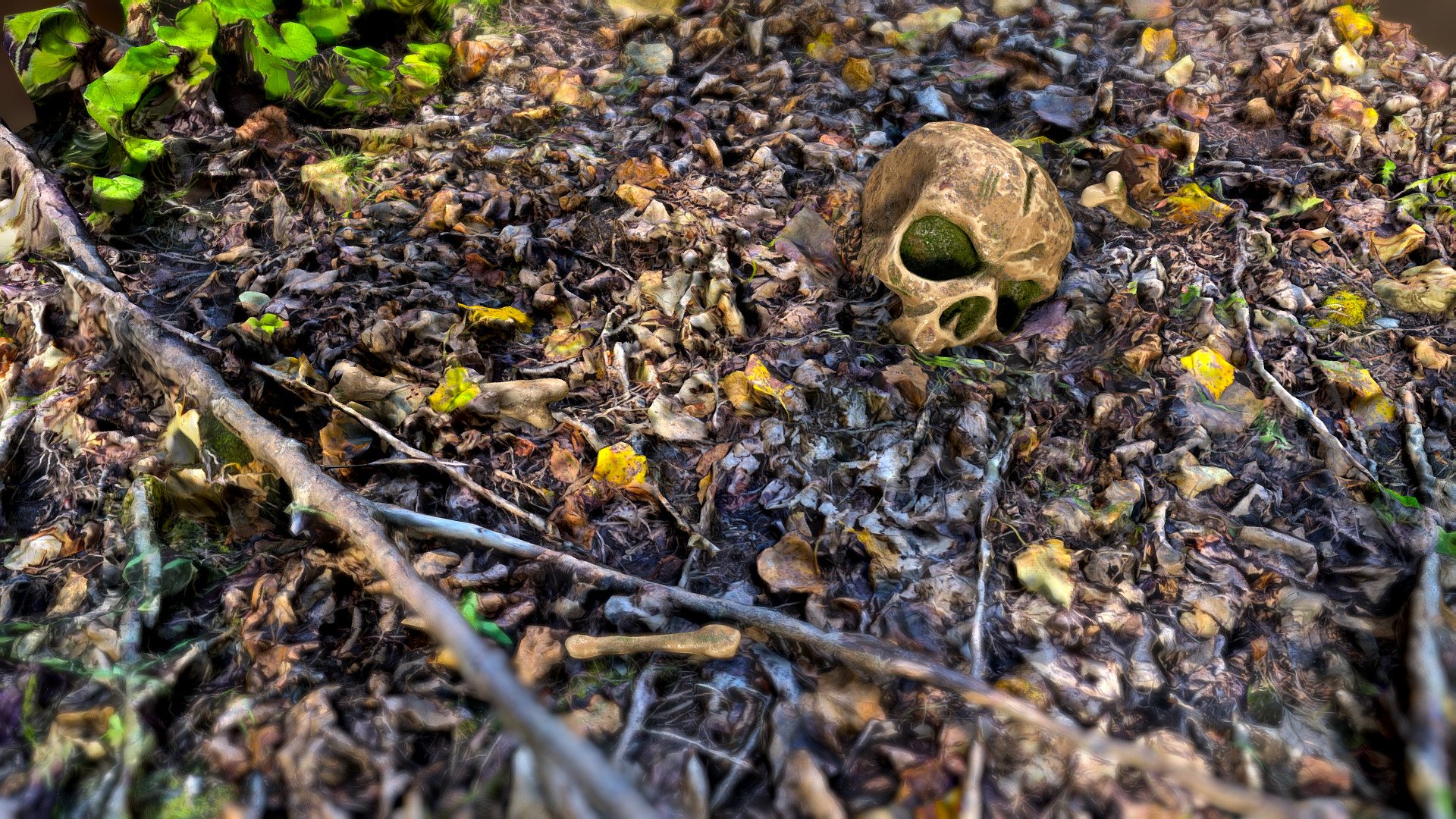 Bones And Skull (Game Props)