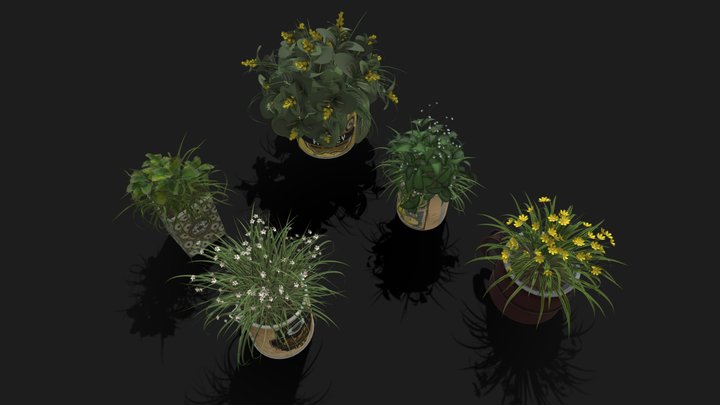 Plant pack – Modello 3D gratuito STL
