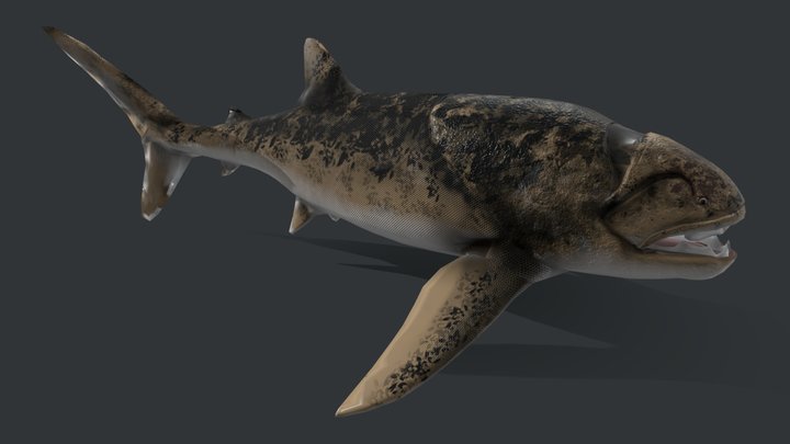 Dunkleosteus terrelli 3D Model