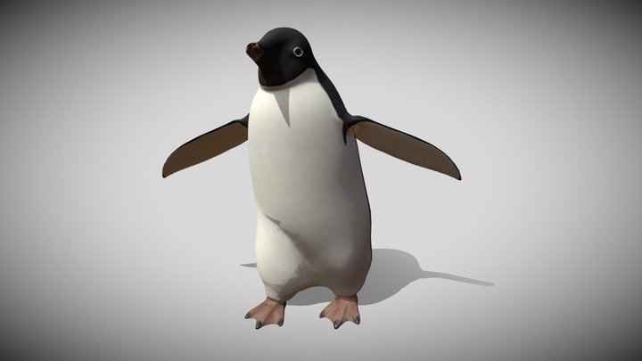 Walking Adelie Penguin 3D Model