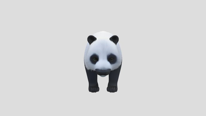 bgPanda 3D Model