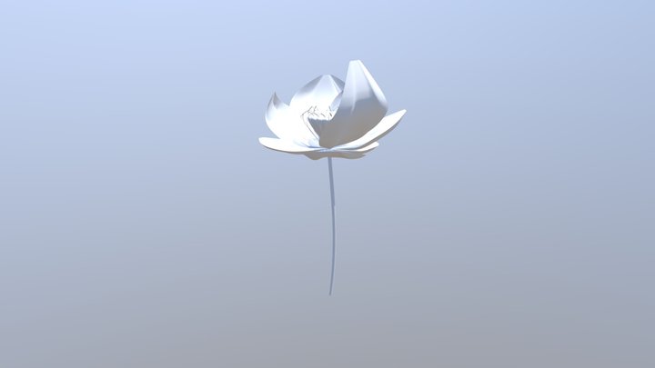 Lotus 3D Model