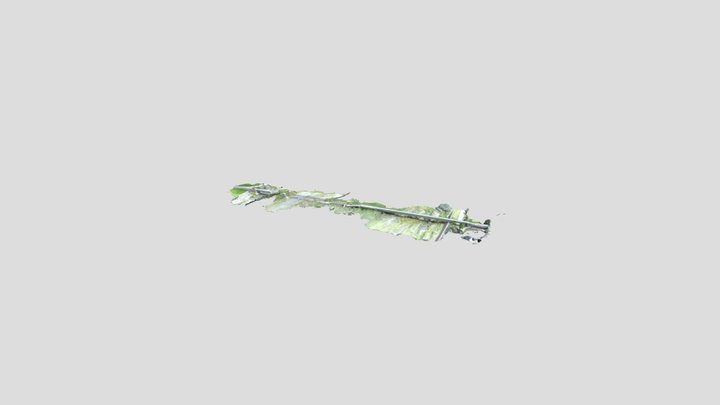 918崙天大橋 3D Model