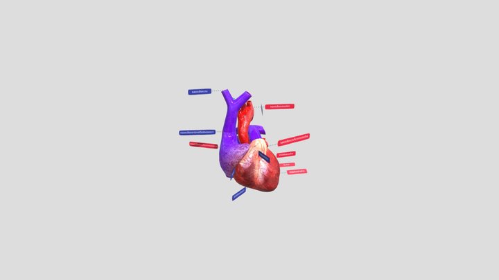 3D model 3D Model
