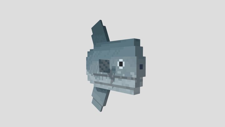 Ocean Sunfish (Mola mola) 3D Model