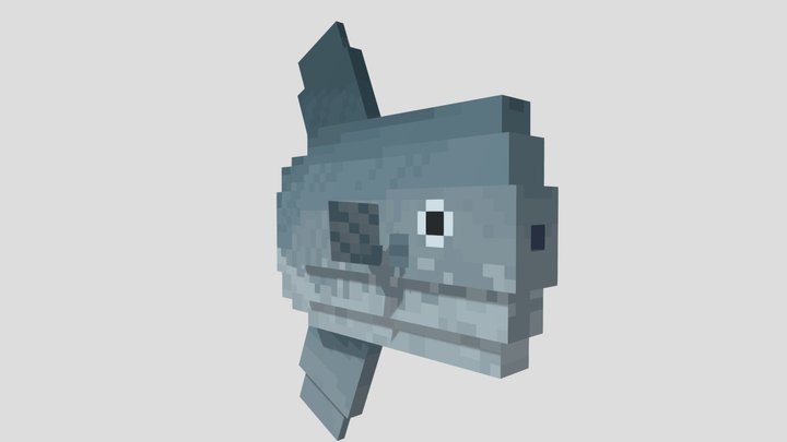 Ocean Sunfish (Mola mola) 3D Model