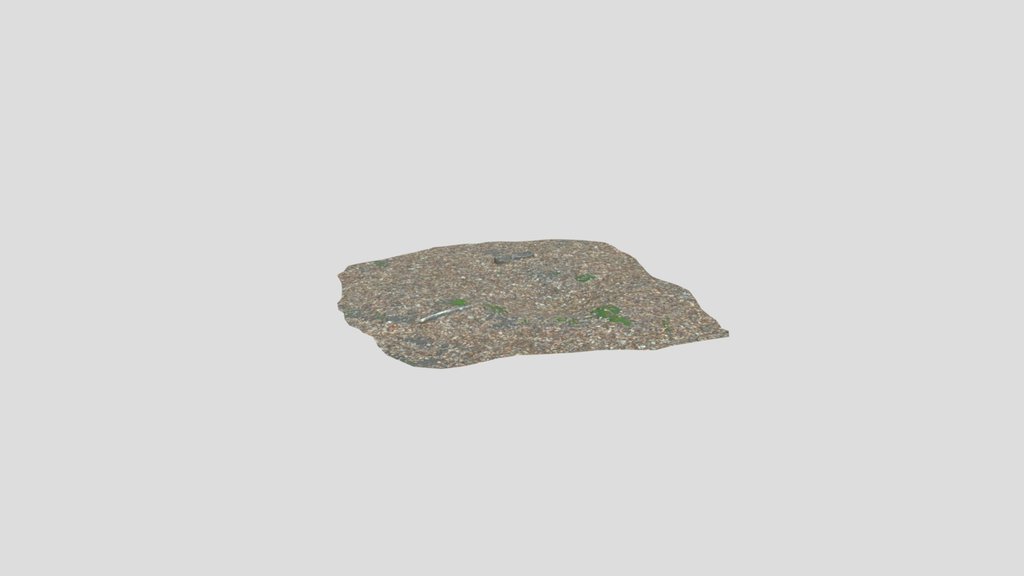 Forest Ground Leaves