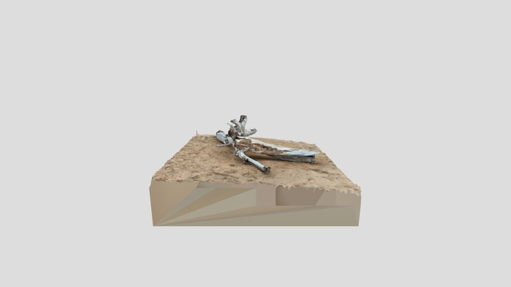 Sand Death Tree 3D Model