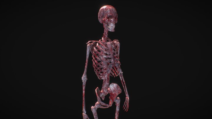 Skeleton with meat 3D Model