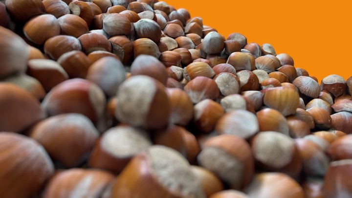 Hazelnuts 3D Model