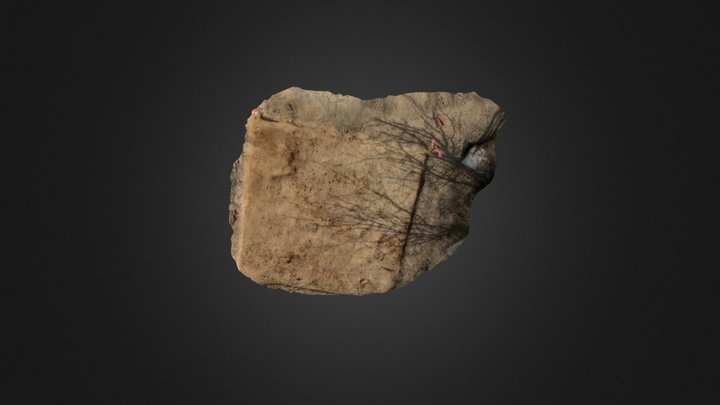 Excavation Unit Model 3D Model