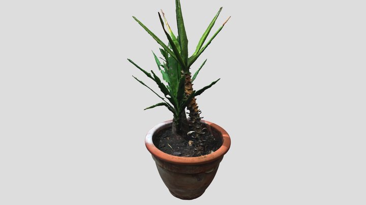 3D_Clay_Jug_01 3D Model