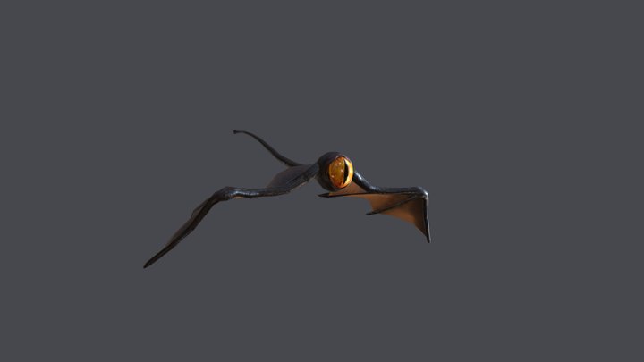 Flying Eye 3D Model