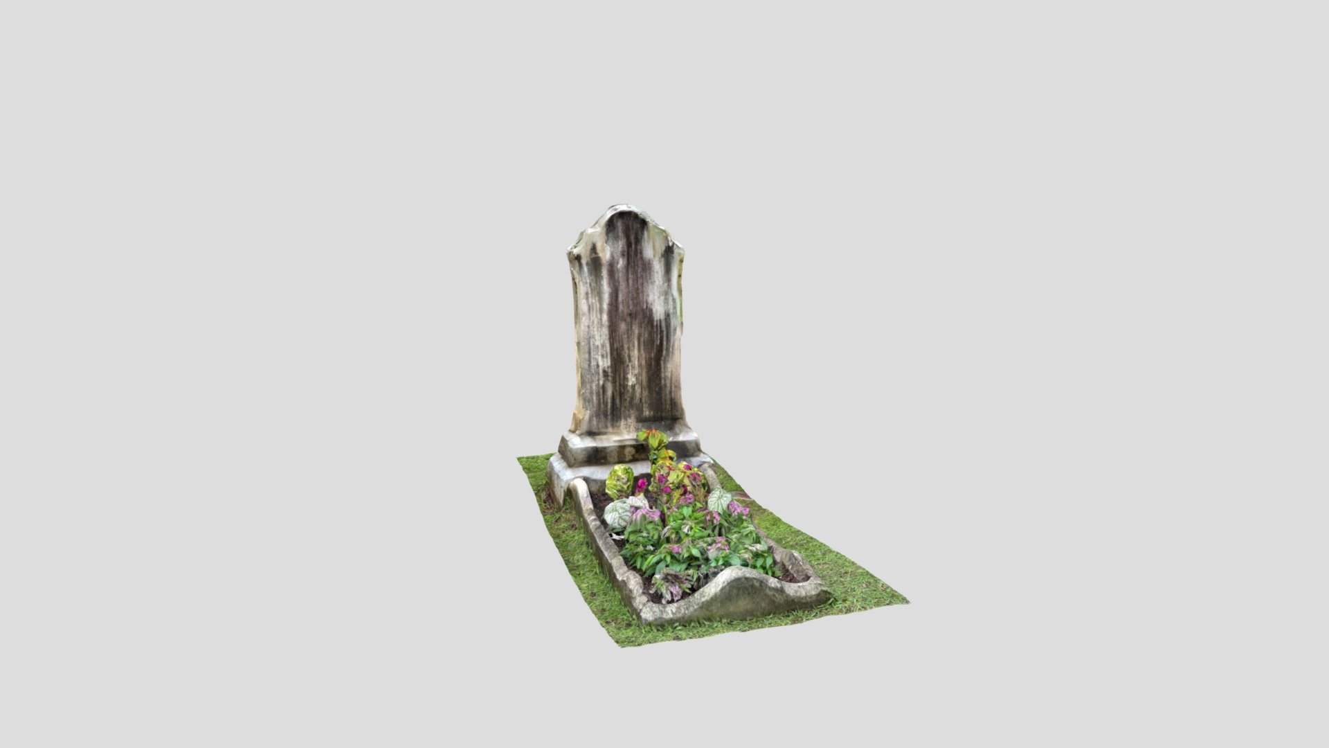 Proper planted cradle