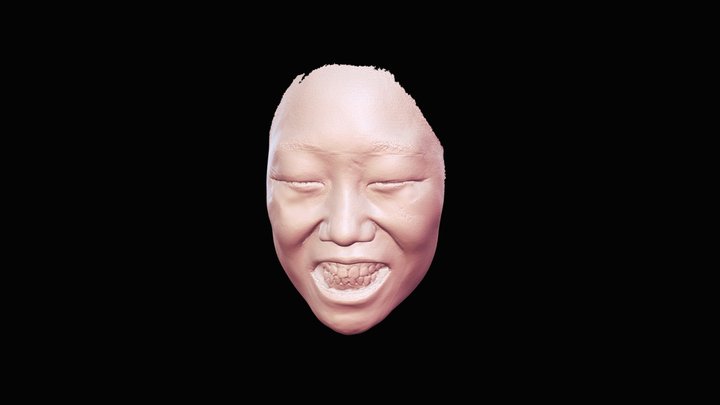 Facial Data with Teeth – Free 3D Model STL