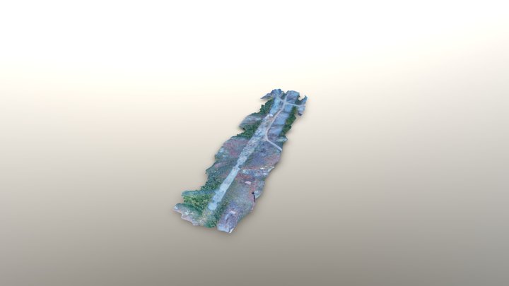 138 - zone 21 - (21-11-13)_simplified_3d_mesh 3D Model