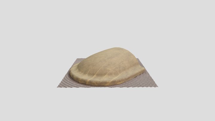 Cap – Free 3D Model STL