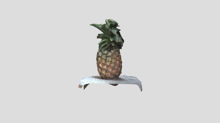 5_1_2025 3D Model