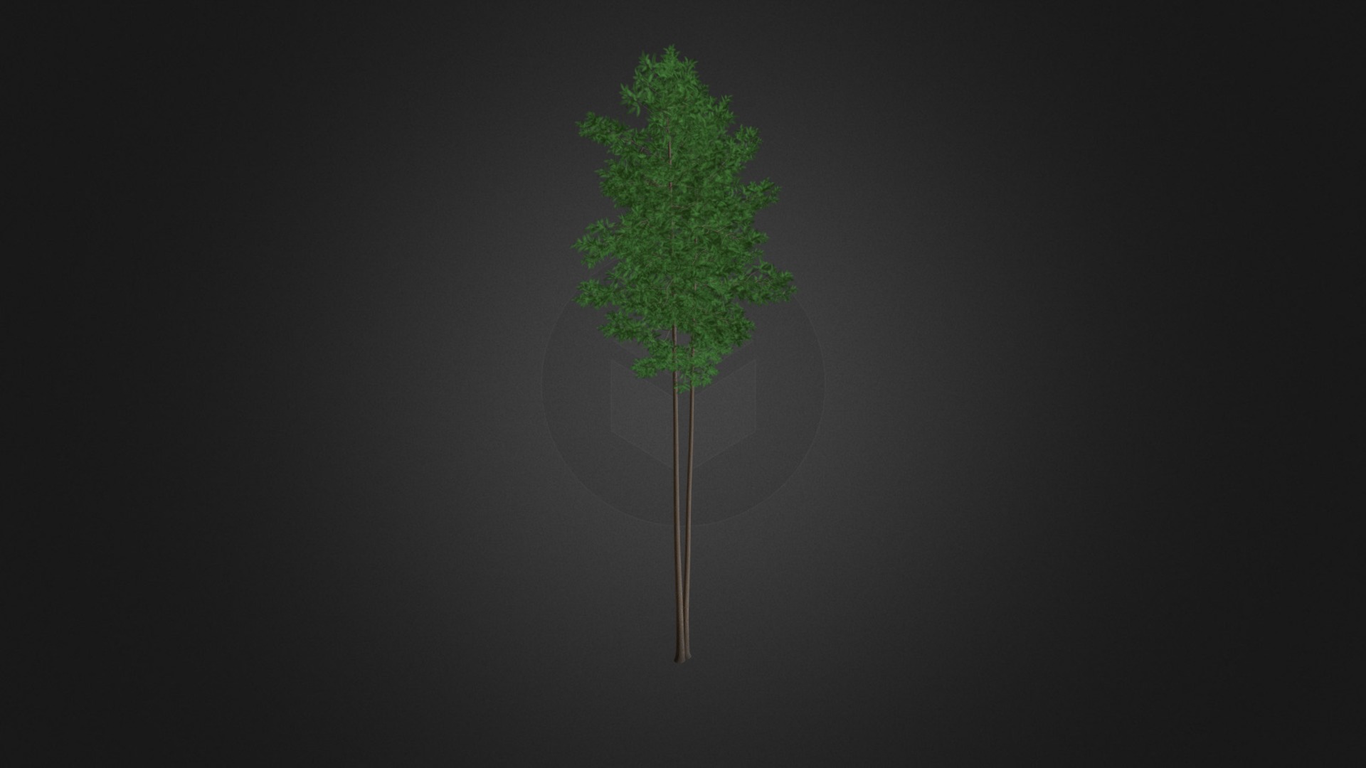 3D model Scots Pine Tree (Pinus sylvestris) 27.4m - This is a 3D model of the Scots Pine Tree (Pinus sylvestris) 27.4m. The 3D model is about shape.
