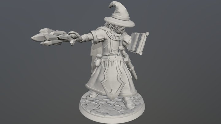 Wizard (Heroforge) 3D Model