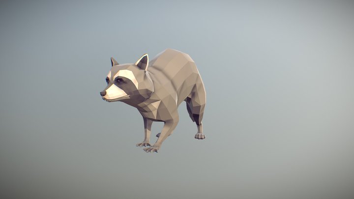 Poly Art Raccoon 3D Model