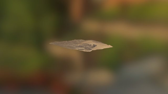 Two Trilobites 3D Model