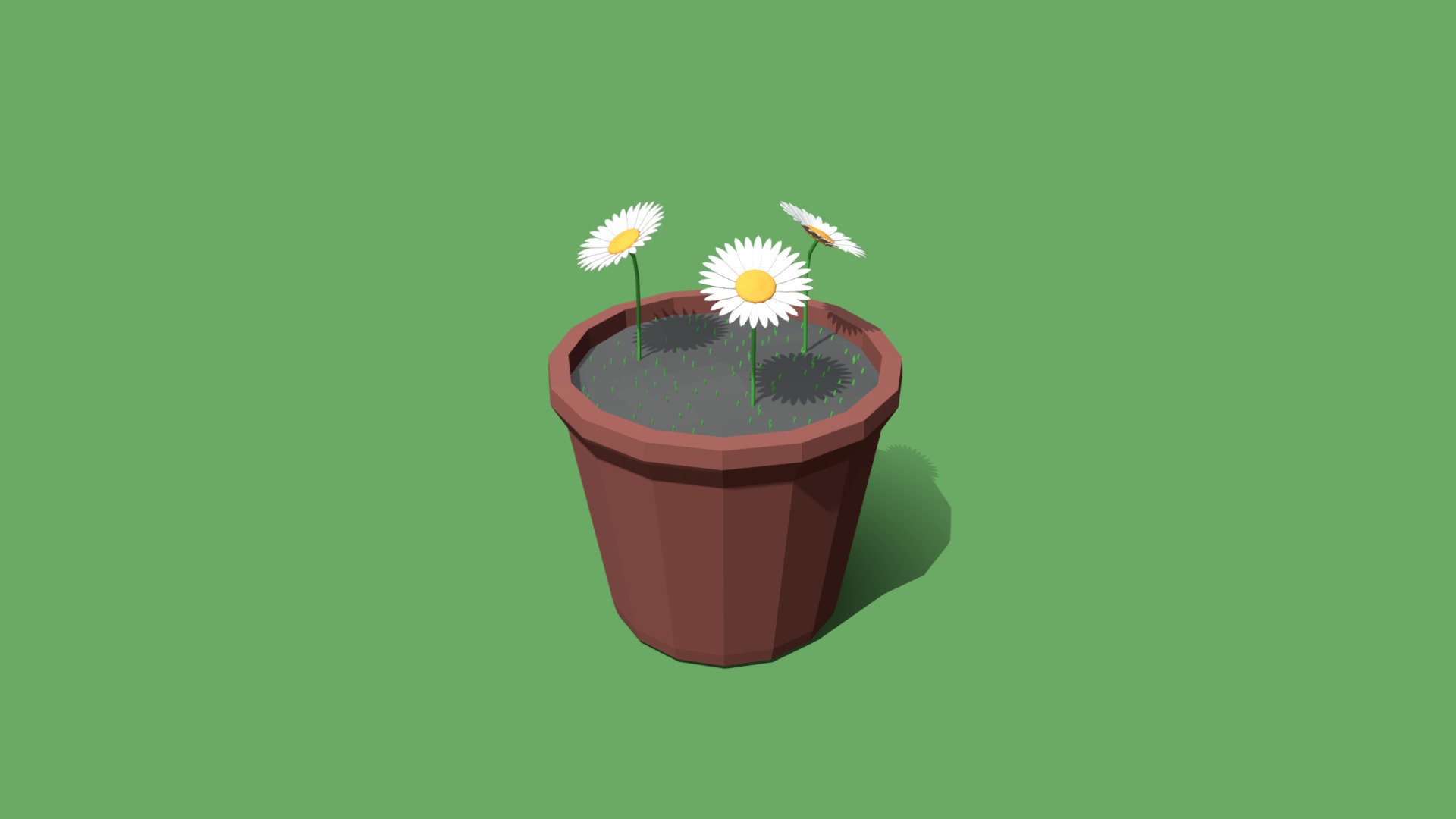ArtStation - Low Poly Cartoon Daisy Flowers