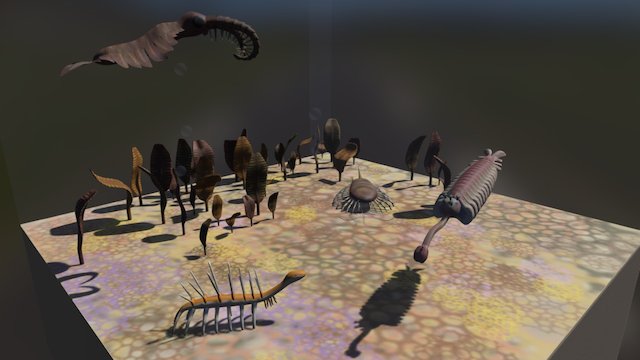 Cambrian