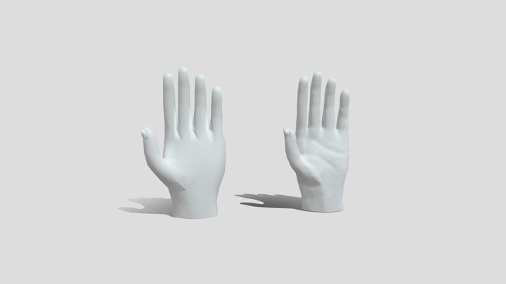 Hands low poly and sculpting 3D Model