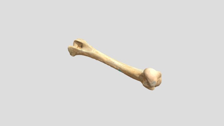 07 3D Model
