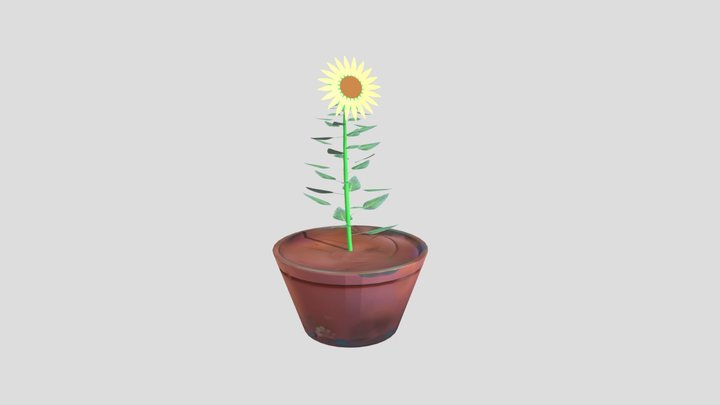 Sunflower growth 3D Model