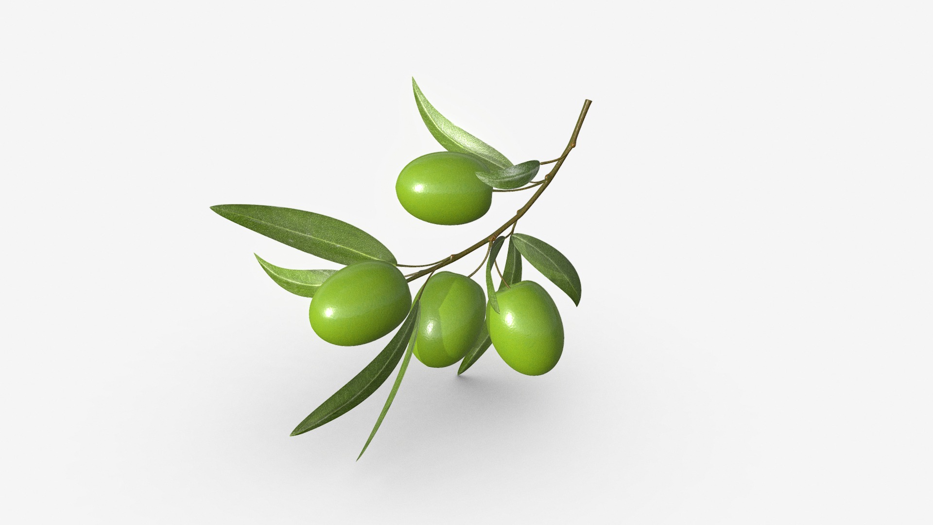 3D model olive branch - This is a 3D model of the olive branch. The 3D model is about a branch with green fruits on it.