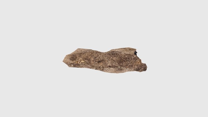 Iron Age Burial? 3D Model
