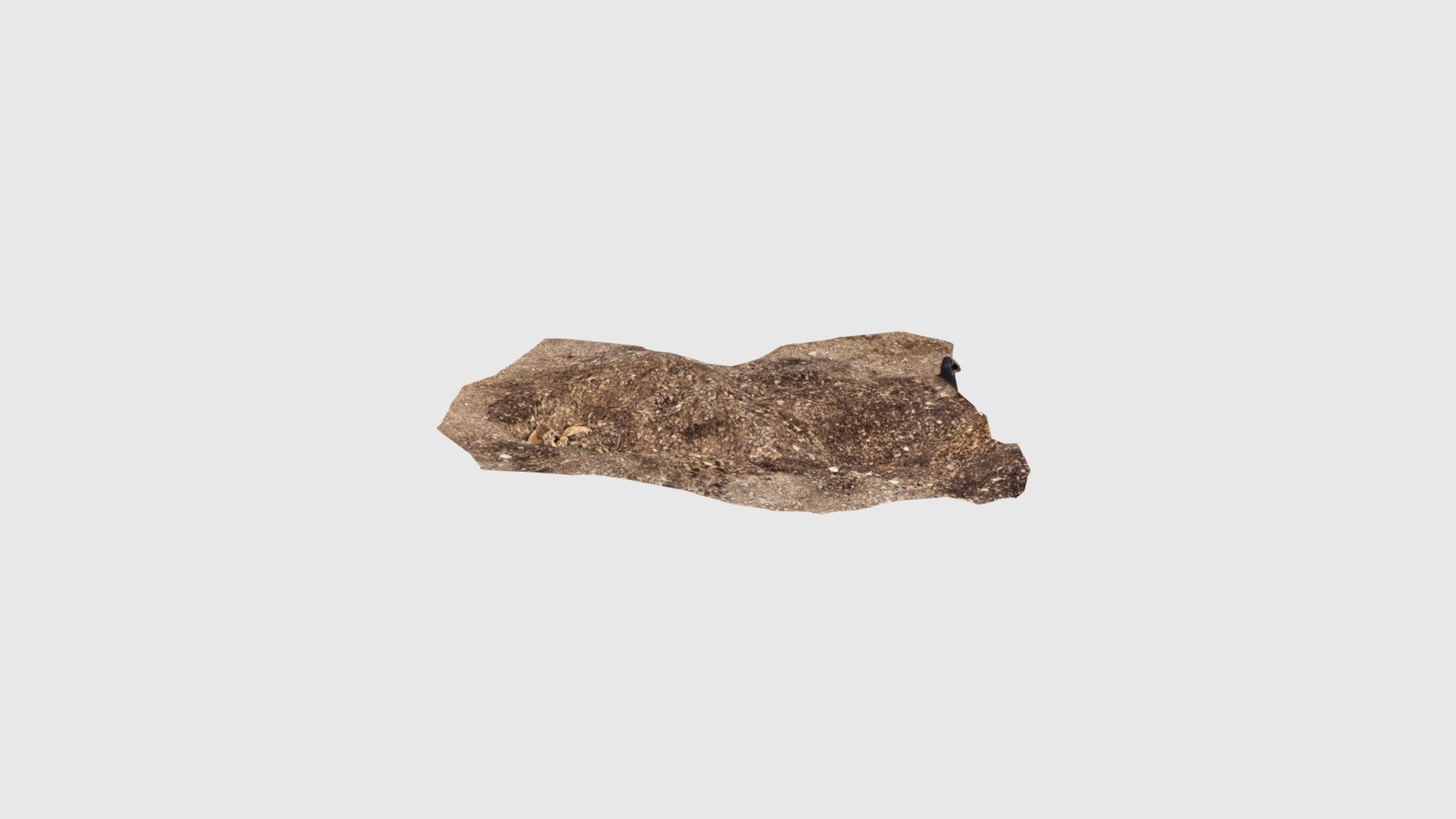 Iron Age Burial?
