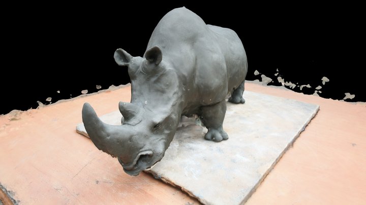 Носорог 3D Model