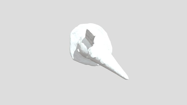 Bad Cone 3D Model