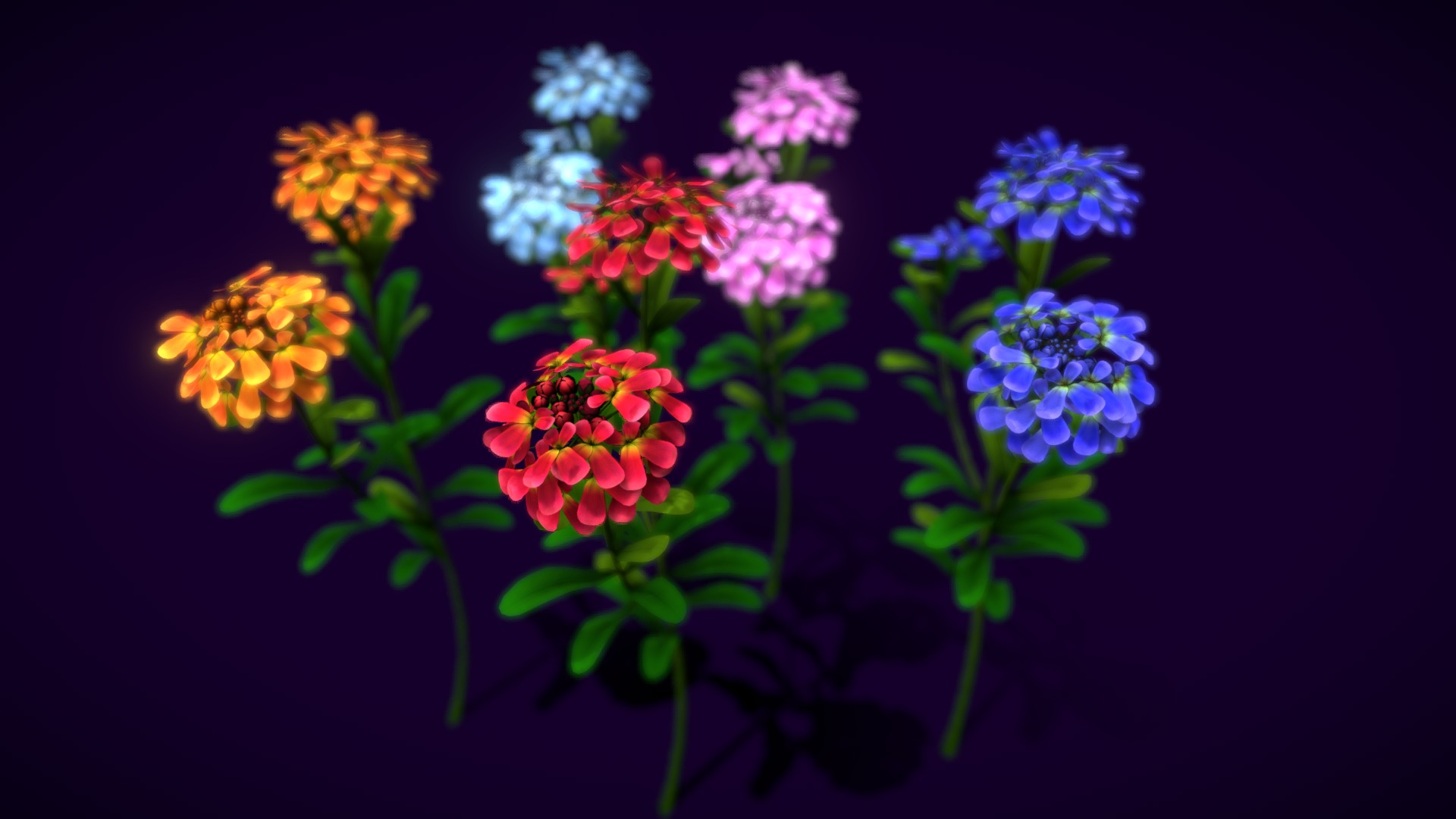 3D model Flower Gibraltar - This is a 3D model of the Flower Gibraltar. The 3D model is about a group of flowers.