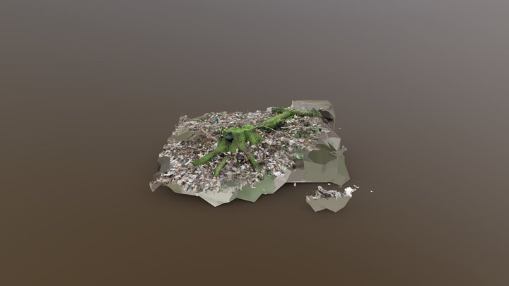 treeStump 3D Model
