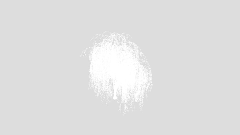 Small Willow