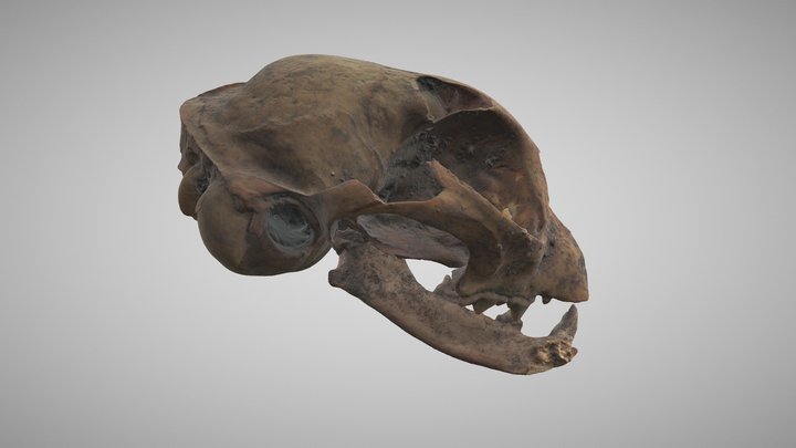 BE18-107-072-081 3D Model