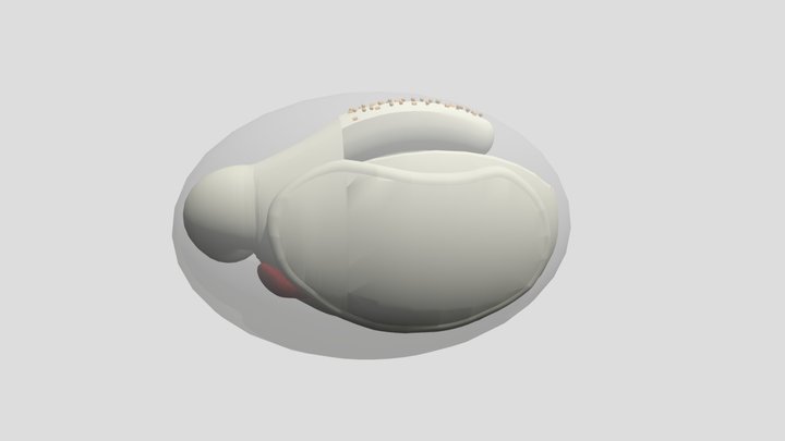 Botryllus 3D-13-09-17 3D Model