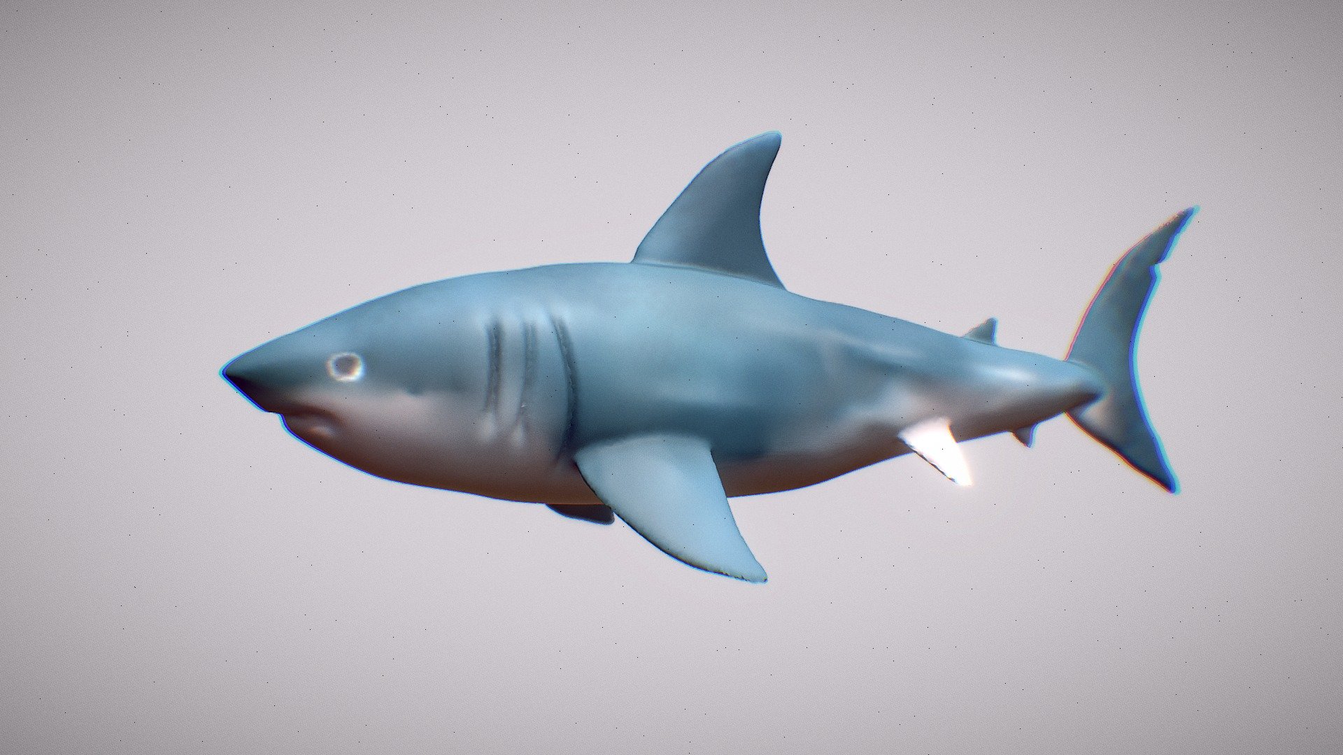 lowpoly shark - Download Free 3D model by tree (@treeqwqwq) [096187b ...