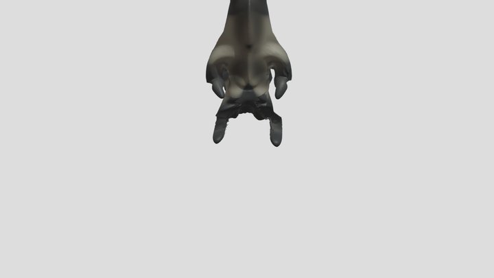 boxy 3D Model