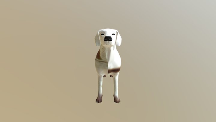 Dog-3D- Model-218674ce 3D Model