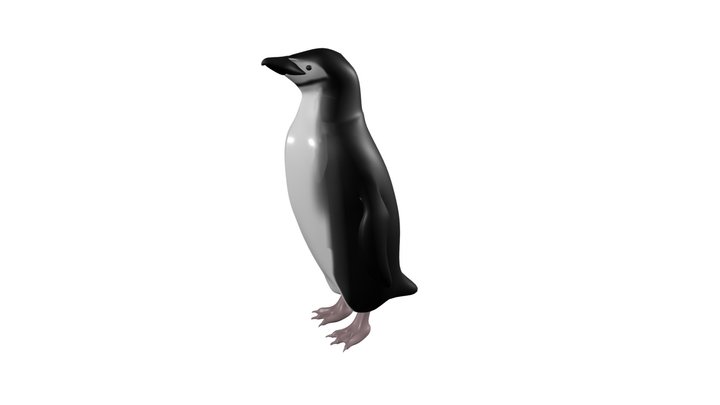 Pinguim-de-barbicha 3D Model