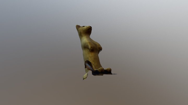 Ermine 3D Model