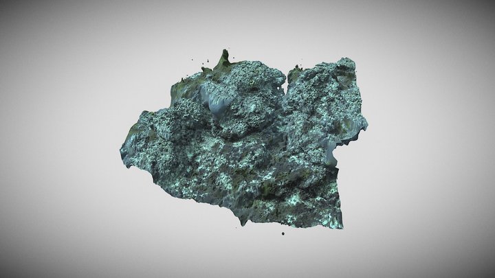 Hydrus- 10x10_65_80 Images and Video - Rotto 3D Model